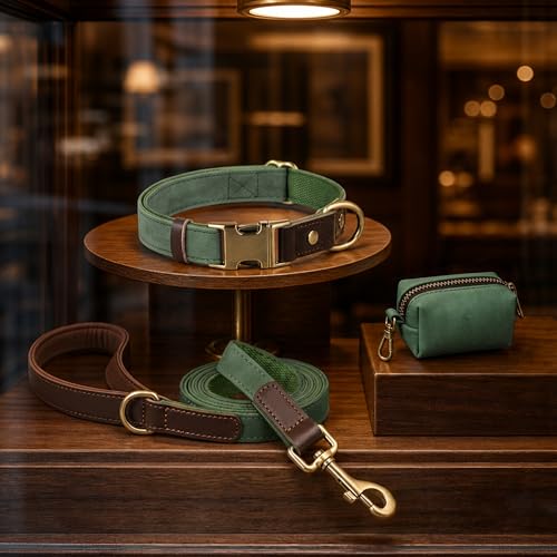 Didog PU Leather Dog Leash for Medium Dogs 5ft, Soft Padded Handle Dog Leashes, Easy to Clean, Walking and Training Leashes Faux Leather for Medium