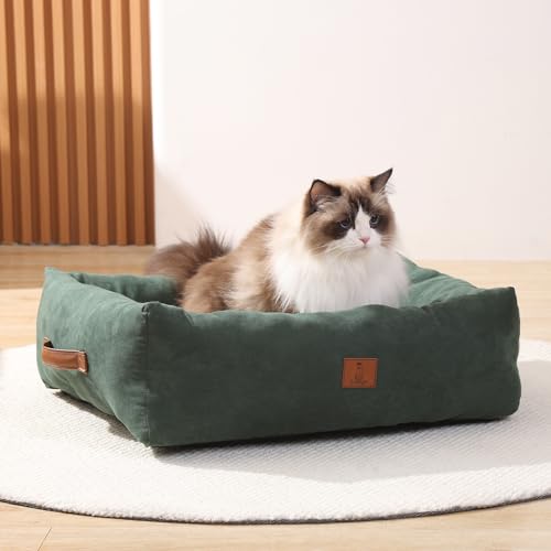 20In Dog Bed for Small Dogs & Cats - Washable Rectangle Cat Kitten Bed for Indoor Pets, Cozy Cute Puppy Bed with Non-Slip Bottom(Green, Small)