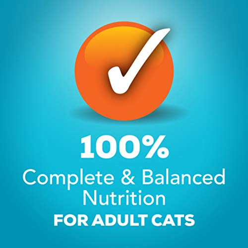 Purina Friskies Wet Cat Food Variety Pack Fish-A-Licious Extra Gravy,  Filets and Tasty Treasures - (Pack of 32) 5.5 oz. Cans