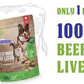 Nutri Bites Freeze Dried Beef Liver Dog & Cat Treats | Healthy Pet Training Treats or Food Topper | All Natural, Single Ingredient, High Protein