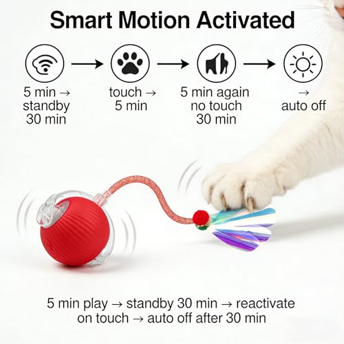 Interactive Cat Toys for Indoor Cats, Speedy Tail Cat Ball | 300mAh High-Capacity Battery, Controllable Chirping, Smart Electric Motion, Interactive