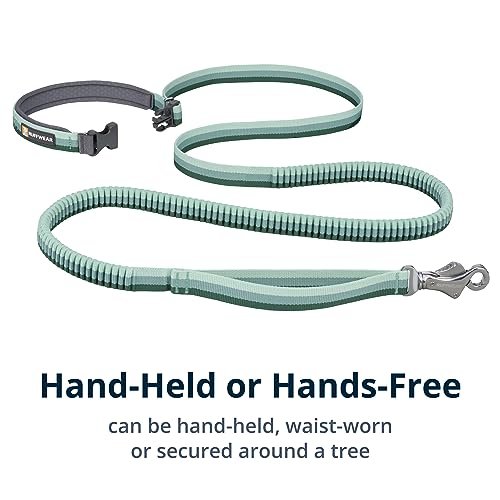 Ruffwear, Roamer Bungee Dog Leash for Running, Biking or Hiking, Can be Used Hand-Held or Hands-Free, River Rock Green, 5.5'-7'
