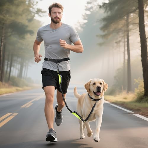 Hands Free Dog Leash for Medium Large Dogs, Waist Support Padded Bungee Dog Running Leash with Reflective Stitching for Walks, Jogging, Running