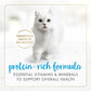 Purina Fancy Feast Gravy Lovers Ocean Whitefish and Tuna Feast Pate in Wet Cat Food Gravy - (Pack of 24) 3 oz. Cans