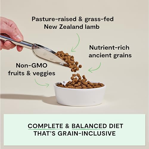 Open Farm Ancient Grains Dry Dog Food – Pasture Raised Lamb, 22 lb