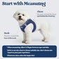 rabbitgoo Dog Harness Small Sized and Leash Set, Step in Soft Light Puppy Vest, Breathable Mesh Pet Harness, Reflective for Safe Outdoor Walking
