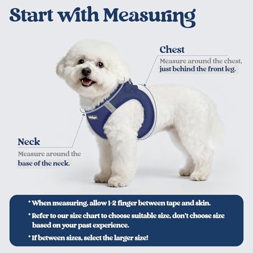 rabbitgoo Dog Harness Small Sized and Leash Set, Step in Soft Light Puppy Vest, Breathable Mesh Pet Harness, Reflective for Safe Outdoor Walking