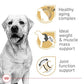 Royal Canin Breed Health Nutrition Labrador Retriever 5+ Mature Dry Dog Food, 28 lb Bag