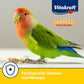 Vitakraft Vita Smart Gourmet Cockatiel and Lovebird Food - Vitamin-Fortified - Daily Pet Bird Food 4 Pound (Pack of 1)