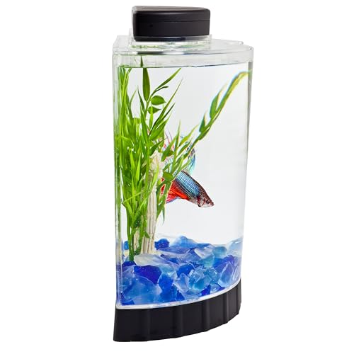 Tetra LED Half Moon Aquarium Kit, 1.1 Gallons, Small, Clear Plastic Fish Tank With Curved Front, Easy Feeding And Movable, Energy-Efficient LEDs Ideal For Bettas Great As Desk Aquarium