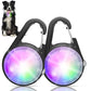 Dog Collar Light, 4 Modes Dog Lights for Night Walking, Rechargeable LED Pet Collar Light for Nighttime Clip on, IP68 Waterproof Pet Walking Accessories-2 Pack(Black)