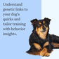 Wisdom Panel Breed Discovery Dog DNA Kit: Most Accurate Dog Breed Identification, Test for 365+ Breeds, MDR1 Health Test, Ancestry, Relatives