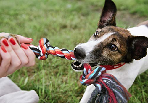 Fida Dog Rope Toys 4 Pack, Puppy Teething Sturdy Cotton Chew Tug Ropes Indoor/Outdoor, Exercise Interactive Tug O'War Toys Set for Boredom