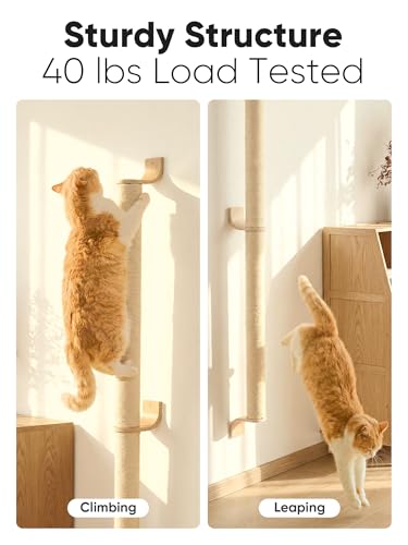 FUKUMARU Cat Wall Scratcher, 60" Tall Wall Mounted Kitten Scratching Post, Sturdy Sisal Climbing Tree for Indoor Large Cats