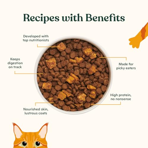 Made by Nacho Dry Cat Kibble 10lb Bag, High Protein Premium Cat Food with Freeze-Dried Pieces, Cage-Free Chicken, Duck & Quail, Limited Ingredients, Single Bag