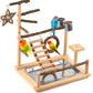 KATUMO Bird Playground - Natural Wooden Perches Parakeet Ladder Conure Swing Bird Cage Accessories with Removable Tray & 2 Stainless Steel Cups
