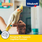 Vitakraft Vita Smart Gourmet Cockatiel and Lovebird Food - Vitamin-Fortified - Daily Pet Bird Food 4 Pound (Pack of 1)
