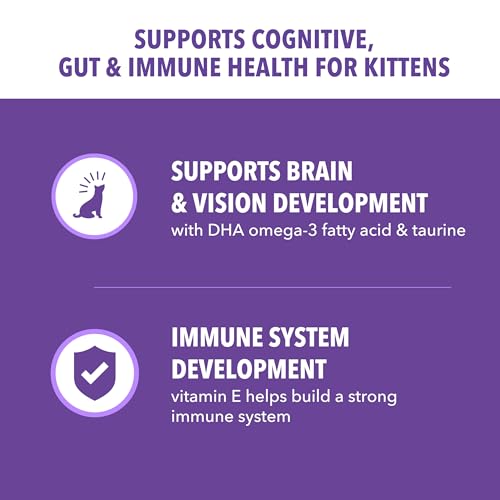 IAMS Proactive Health Healthy Kitten Dry Cat Food with Chicken, 7 lb. Bag