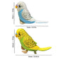 2Pcs Budgerigar Plush Toy, 5.5 inches, Parakeet Plush Toy, Budgie Soft Toy, Bird Stuffed Animal for Kids