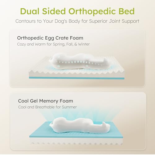 Extra Large Dog Bed, Orthopedic Dog Bed with Cooling Gel Memory Foam, Waterproof XL Pet Bed with Removable Washable Cover, 42" Pet Sofa Couch Dutch Velvet with Bone Toy, Light Gray