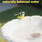 CNARIO Copper Disk for Bird Baths, Bird Baths 99.99% Pure Copper Cleaning Disk, Safe Natural Solution, 0.6mm Thick with Stable Triple-Point Support, All-Season Use