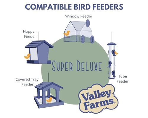 Valley Farms Super Deluxe Wild Bird Food for Outside feeders - 0% fillers - Loads of Sunflower Seed - w/Peanut kernels -Feed More Birds w/Less Seed (4 LBS)