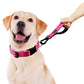 PLUTUS PET 10 Inch Short Dog Leash for Large Dogs with Locking Carabiner Clip & Padded Handle （10”, Pink）