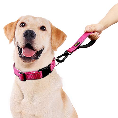 PLUTUS PET 10 Inch Short Dog Leash for Large Dogs with Locking Carabiner Clip & Padded Handle （10”, Pink）