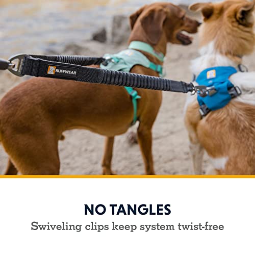 Ruffwear, Double Track Coupler, Double Leash for Two Dogs, Premium Heavy Duty Dual Splitter with 360° Lockable Swivel No Tangle, Shock-Absorbing