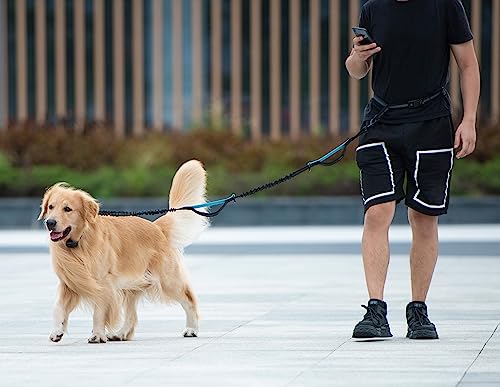 iYoShop Retractable Hands Free Dog Leash - Dual Handle Bungee Waist Leash for Small, Medium and Large Dogs (Medium/Large, 25-150 lbs, Black)
