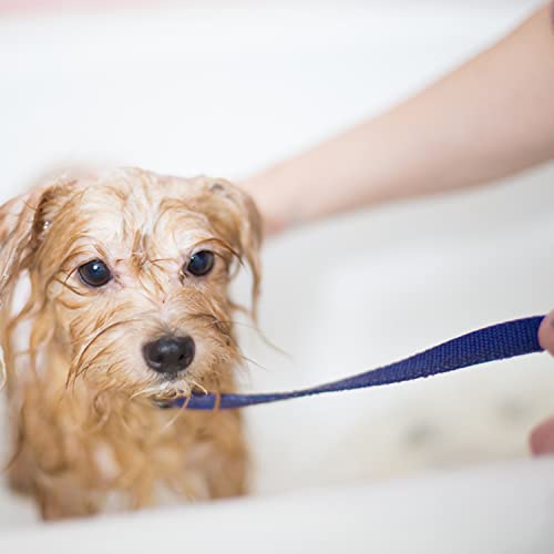 Slip Lead Dog Leash - 10 pcs Colorful 6 FT Short Dog Leashes with O-Ring for Small Large Dogs Puppy Cats Walking Training Running Rescues Grooming