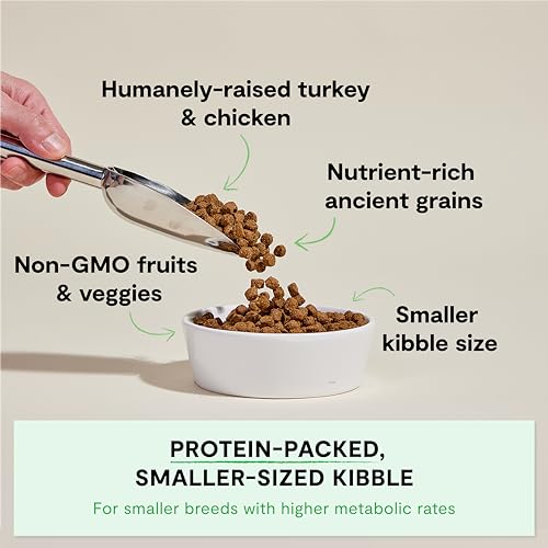 Open Farm, Ancient Grains Dry Dog Food For Small Breeds, Protein-Rich & Nutrient Dense, 90% Animal Protein With Non-GMO Fruits, Veggies and