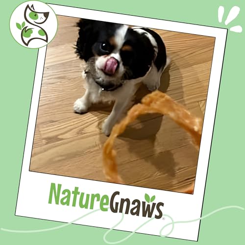 Nature Gnaws USA Turkey Tendon Rings for Dogs (8oz) - Delicious Grain Free Reward Snack for Small, Medium & Large Breeds - Premium Natural Dog Chew