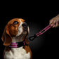 PLUTUS PET 10 Inch Short Dog Leash for Large Dogs with Locking Carabiner Clip & Padded Handle （10”, Pink）