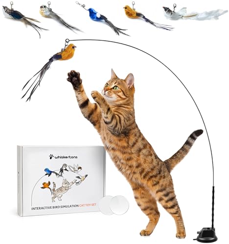 Whiskertons Interactive Bird Simulation Cat Toy Set, Interactive Cat Toys for Indoor Cats, Cat Feather Toy, Self-Holding Suction Base, 5 Replacement