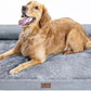 MEKIY Orthopedic Washable Dog Bed with Bolster for Medium to Large Dogs | Pillow Support for Neck Relief, Egg Crate Foam, Waterproof Liner, Anti-Slip