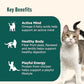 Nutrish Indoor Complete Chicken, Lentils & Salmon Recipe Dry Cat Food, 6 lb. Bag, Packaging May Vary (Rachael Ray)