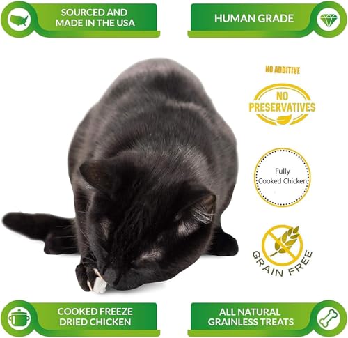 Life Essentials by Cat-Man-Doo | Chicken - 5oz. Bag | Freeze Dried Chicken Cat & Dog Treats | Healthy, Single Ingredient, Training Treats, High Protein