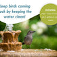 Bird Bath & Fountain Maintenance - (8 Ounces) - Fast-Acting Enzyme-Based Formula Will Extend The Life of Your Water Feature, Aid in Maintaining a Balanced Ecosystem - Safe for All Birds & Animals