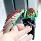 3D Printed Parrot Fidget Toys,Bird with Flexible Wing,Threedee Printing Animals Stuff,Home Office Decor Skeleton Dragon,Festival Gifts Action Figures,3-D Prints Little Live Pets (Colorful)