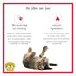 Dr. Elsey's Premium Clumping Cat Litter - Cat Attract - 99% Dust-Free, Low Tracking, Hard Clumping, Superior Odor Control, Natural Herbal Attractant, Unscented & Natural Ingredients, 40 lb