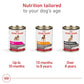 Royal Canin Canine Health Nutrition Mature Mature In Gel Dog Food, 13.5 oz (Pack of 12)