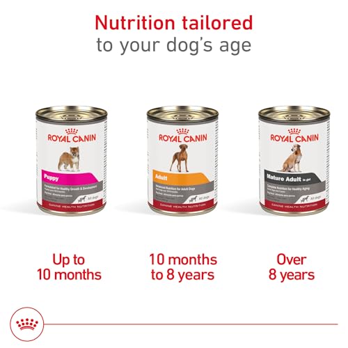 Royal Canin Canine Health Nutrition Mature Mature In Gel Dog Food, 13.5 oz (Pack of 12)