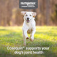 Nutramax Cosequin for Dogs Joint Health Supplement, Contains Glucosamine, Plus Chondroitin, MSM and Omega-3s, Supports Joint and Skin and Coat