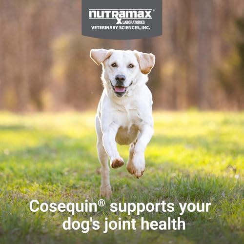 Nutramax Cosequin for Dogs Joint Health Supplement, Contains Glucosamine, Plus Chondroitin, MSM and Omega-3s, Supports Joint and Skin and Coat