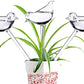 Glass Plant Watering Globes, Self Watering Globes Bird Shape, Self Watering Planter Insert, Plant Watering Devices, Automatic Plant Waterer Indoor, Watering Bulbs, 3 Pack