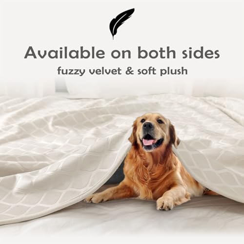 fuguitex Waterproof Dog Blanket Bed Cover Dog Crystal Velvet Moroccan Fuzzy Cozy Plush Pet Blanket Throw Blanket for Couch Sofa(40 * 60 inch