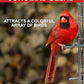 CountryMax Backyard Seeds Songbird Blend Wild Bird Seed – 50 lb Bag – Premium Mix with Sunflower Seeds, Safflower, Peanuts, Millet – Attracts Cardinals, Finches, Chickadees, and More
