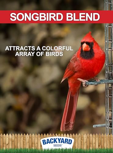 CountryMax Backyard Seeds Songbird Blend Wild Bird Seed – 50 lb Bag – Premium Mix with Sunflower Seeds, Safflower, Peanuts, Millet – Attracts Cardinals, Finches, Chickadees, and More