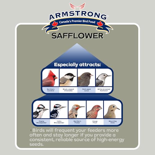 Armstrong Wild Bird Food Safflower Bird Seed, 20 Pounds - for Northern Cardinals, Rose-Breasted Grosbeaks and Black-Capped Chickadees - Ideal for Outside Feeders